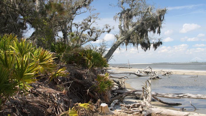 Jekyll Island Kayaking & Paddleboarding | Turtle Tides