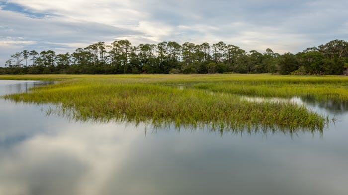 Amelia Island Kayak Tours | Turtle Tides