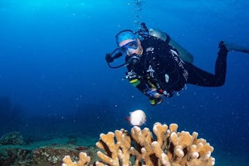 Scuba diver exploring a large coral formation in the serene, sky-blue waters of Kauai, Hawaii, captured during an adventure with Fathom Five Divers