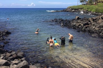 A group of people in shallow waters at Koloa Landing, Kauai, Hawaii, near a rocky shore, reflecting sparkling sunlight.