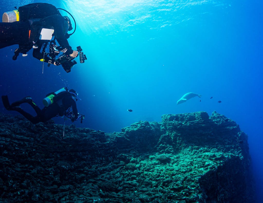 Alt text: Two scuba divers exploring a vibrant underwater coral field on the sea floor.