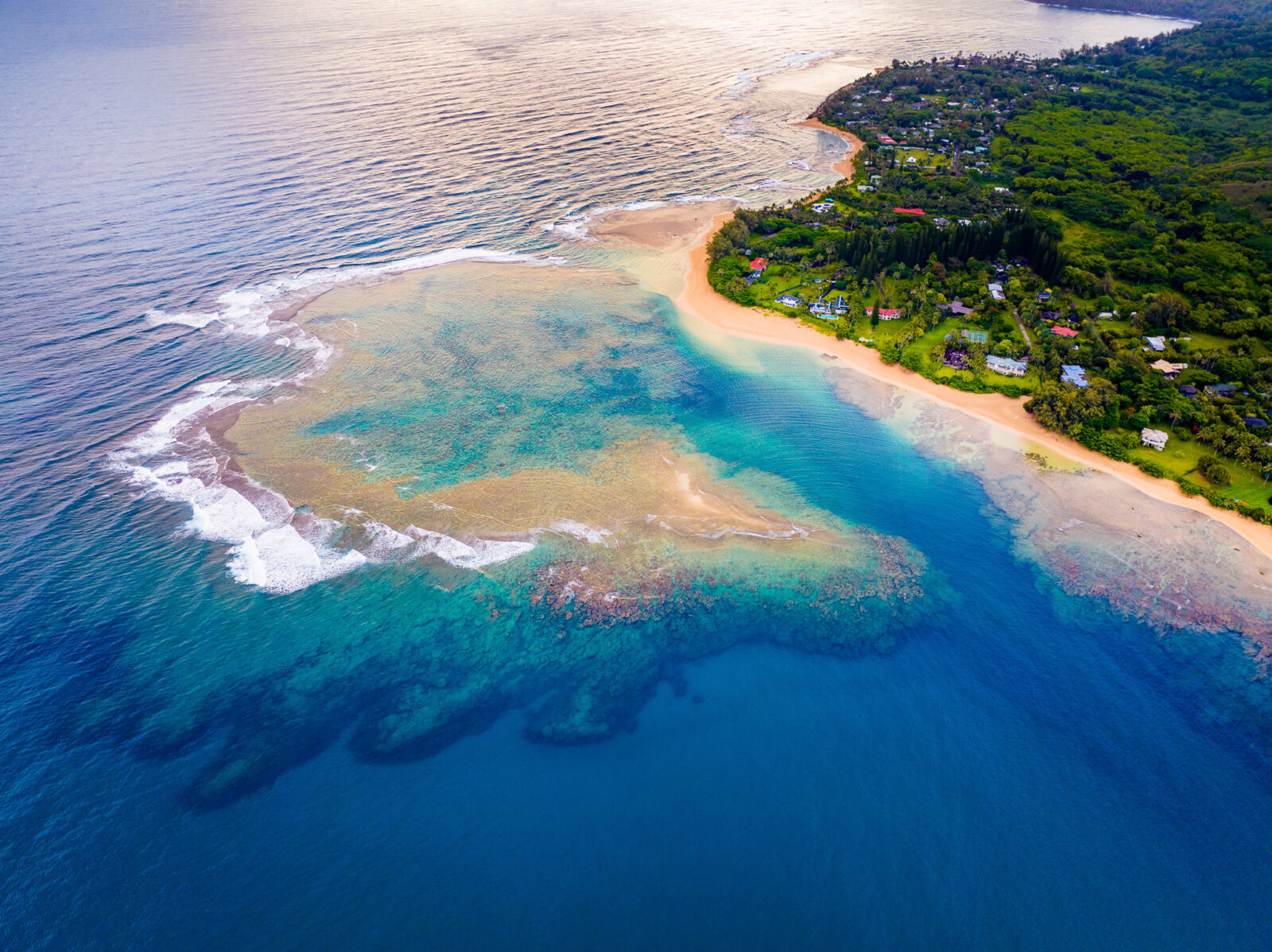 Understanding Reefs: Scuba Diving in Kauai, Hawaii | Fathom Five