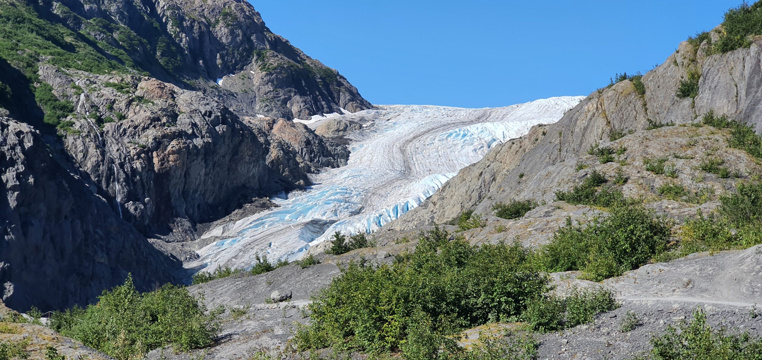 Exit glacier cheap guided hike