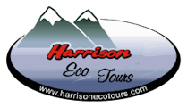 Harrison Eco Tours