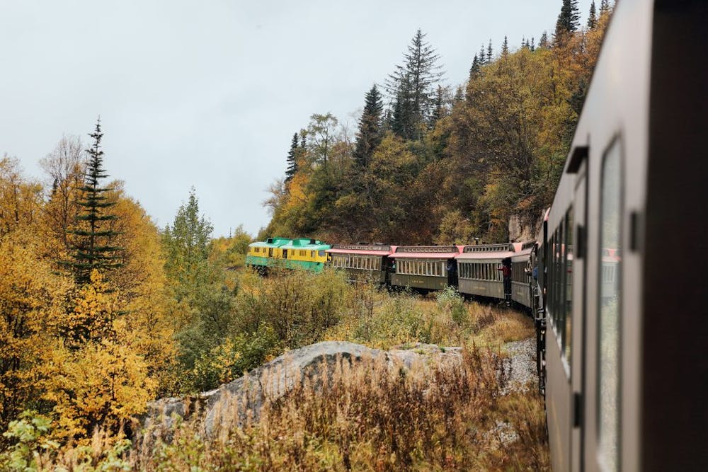 a train traveling down train tracks near a forest