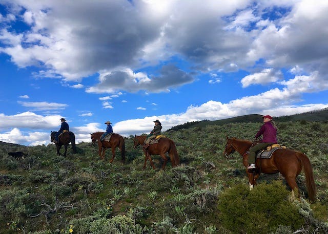 A group of horseback riders enjoying the Colorado springtime while meandering through grass covered fields.