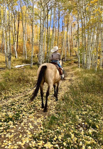 Close-up of a horse and rider navigating a rugged trail at Rusty Spurr Ranch, showcasing the serene forests and untouched wilderness.