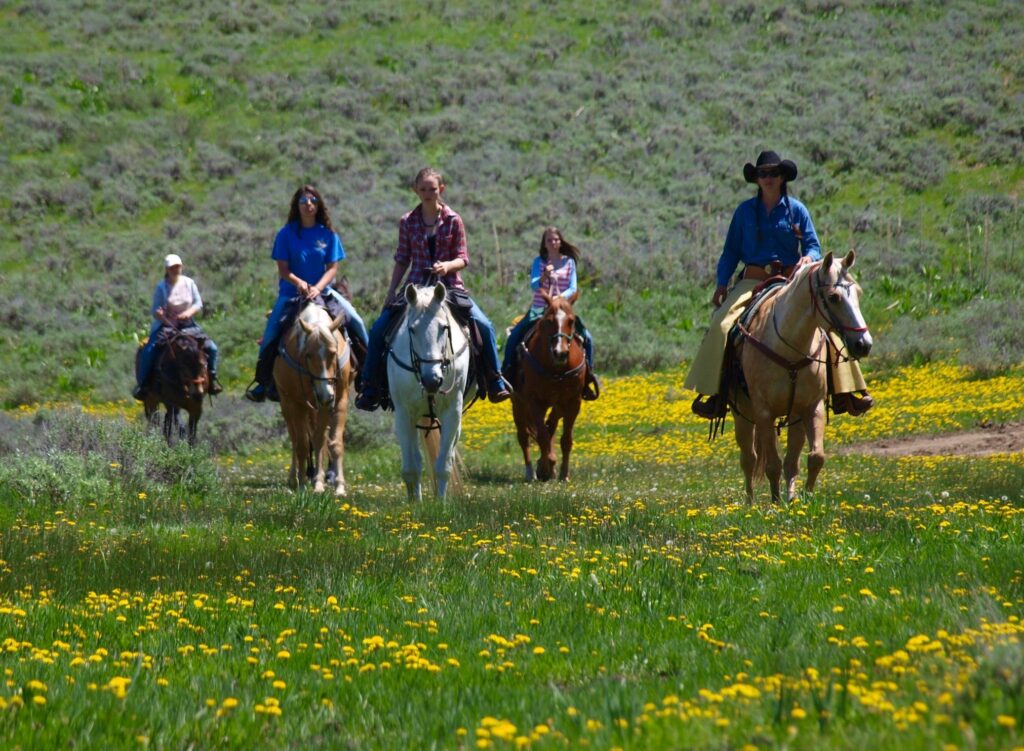 horseback riders exploring vibrant wildflower trails at Rusty Spurr Ranch, showcasing expansive meadows.