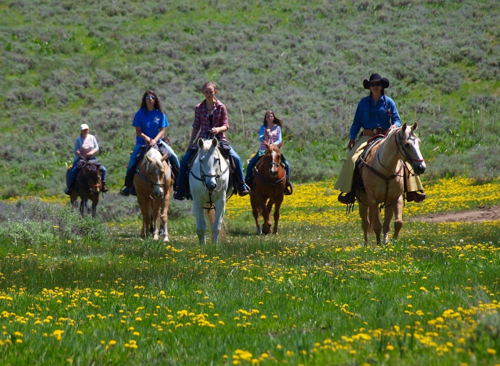 horseback riders exploring vibrant wildflower trails at Rusty Spurr Ranch, showcasing expansive meadows and open range riding