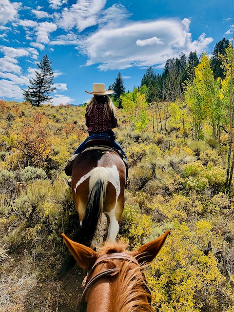 Rider on horseback exploring scenic Colorado wilderness at Rusty Spurr Ranch, showcasing expansive meadows and golden aspen trees in the fall.