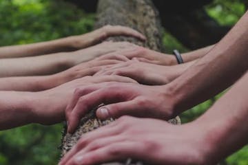 hands of holding a tree
