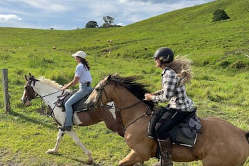 a group of people riding horses on a grassy hill in Australia