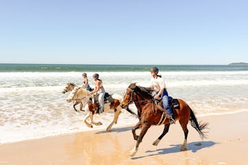 horse trail riding in Sunshine Coast
