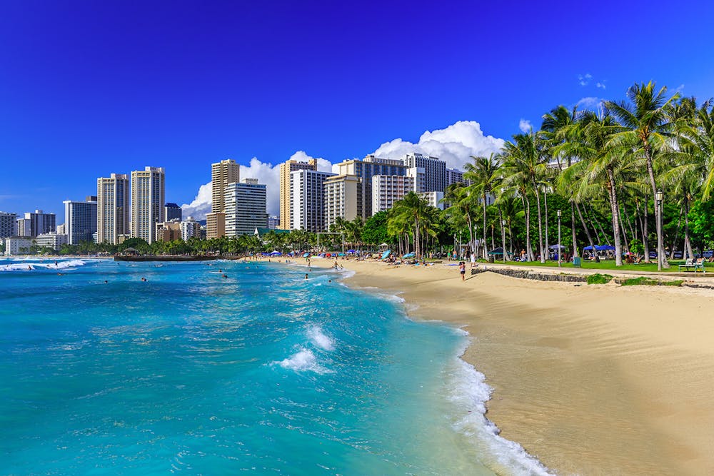 best-family-friendly-beaches-in-hawaii-north-shore-shark-adventures