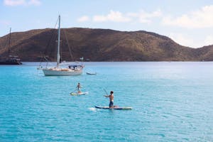 charter guests paddle boarding in an ocean