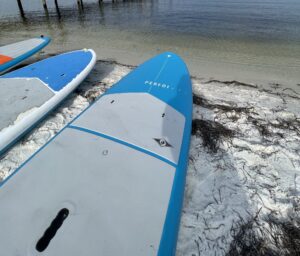 Three stand up paddle boards at the edge of the water