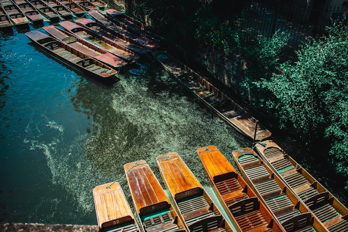 Punting Tour with Students Oxford University | Alumni Tours