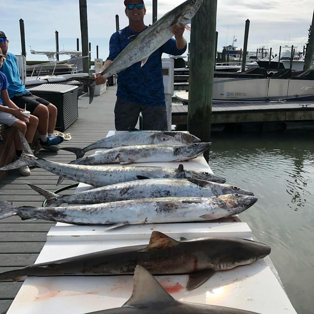 Types of Fish Caught Inshore Myrtle Beach