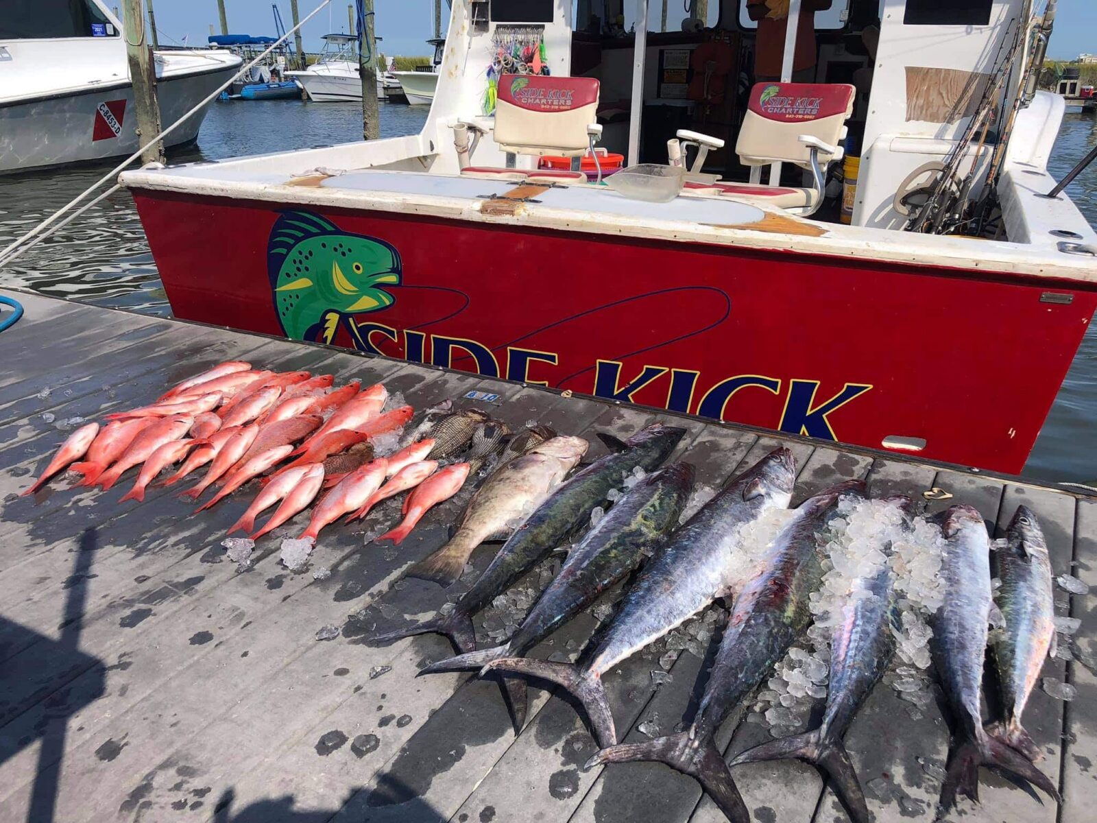 renting-a-fishing-boat-vs-booking-a-fishing-charter-crazy-sister-marina