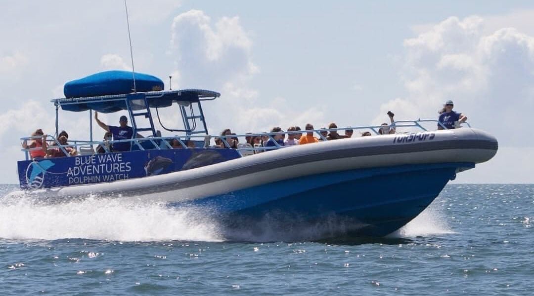 Dolphin Watch & Snorkel Stop Cruise Port Tour in Key West