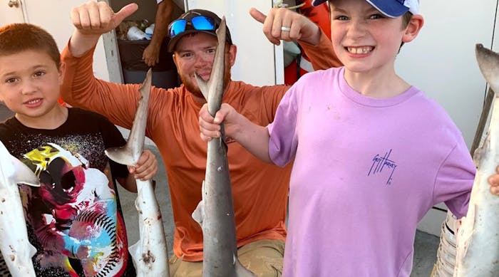 Things To Consider Before Embarking On An Afternoon Shark Fishing