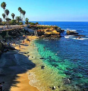 a group of palm trees on a beach near a body of water with La Jolla Cove in the background
