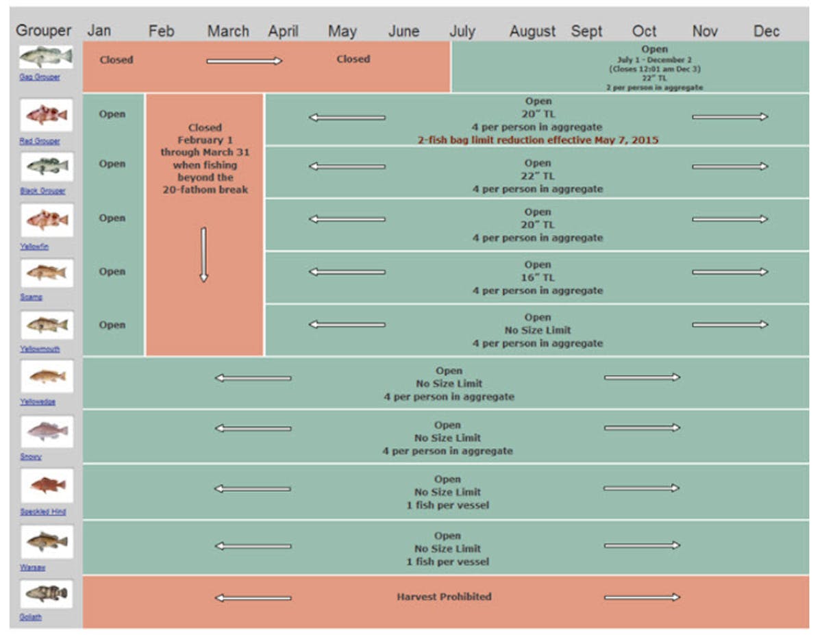 Fishing Regulations and Seasonal Closures - Gulf of Mexico