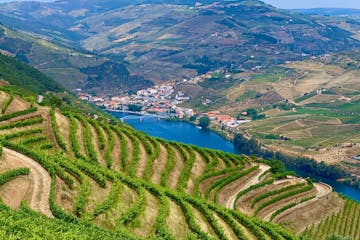 Large green terraces with the Douro Valley in the background