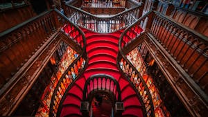 Climb the whimsical red staircase at Livraria Lello, Porto's iconic bookstore, where each step echoes a tale of literary enchantment and architectural splendor