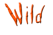 Alaska Wild Guides