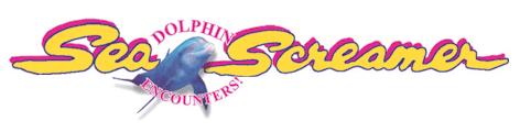 Sea Screamer Dolphin Cruises