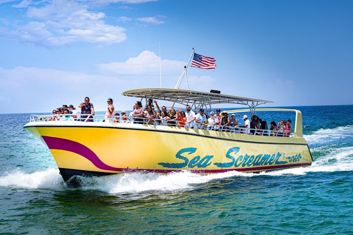 Sea Screamer Dolphin Cruises | Panama City Beach, FL