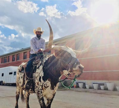 Ft. Worth Stockyard Stables  Horseback Riding Forth Worth, Texas