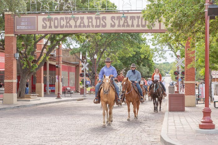 Ft. Worth Stockyard Stables  Horseback Riding Forth Worth, Texas