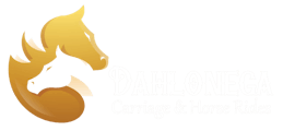 Dahlonega Carriage and Horse Rides