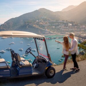 A couple riding around Avalon in a golf cart.