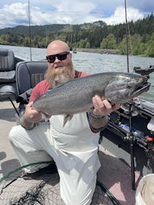 Wind River Spring Chinook