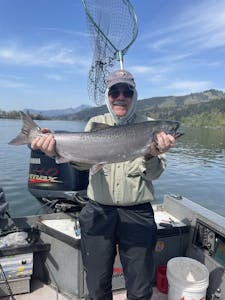 wind river spring chinook