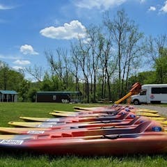 multiple kayak sitting on top of a grass covered field