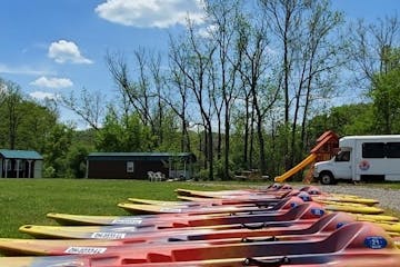 multiple kayak sitting on top of a grass covered field