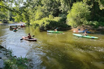 A group of People Paddling in the river