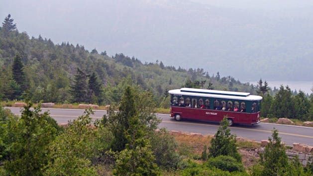 trolley tour acadia national park