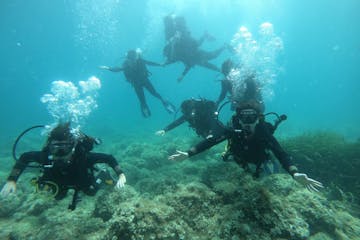 a group of people scuba diving in the water