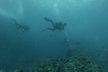 underwater view of people scuba diving