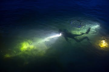 a photo of a person underwater at night