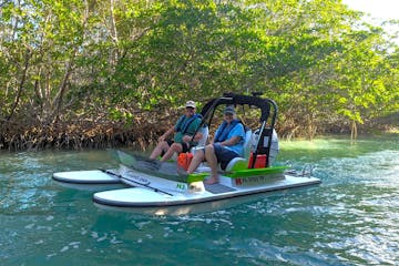 islamorada mini catboat tour in the mangroves