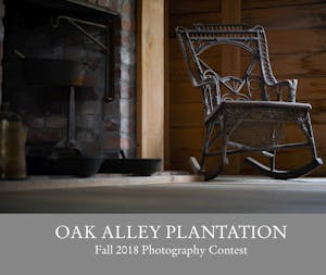 Oak Alley Plantation Fall 2018 Photography Contest