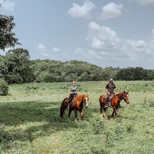 a group of people riding a horse in a field