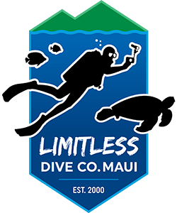 Limitless Dive Co