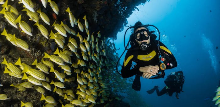 Blue Reef Dive Reels & Spools - Buy at